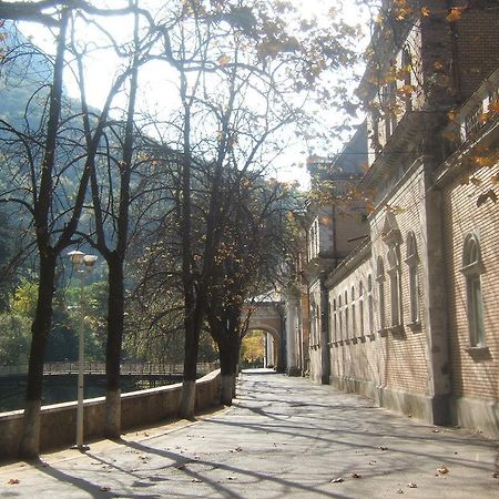 Pensiunea Floare De Colt Otel Băile Herculane Dış mekan fotoğraf