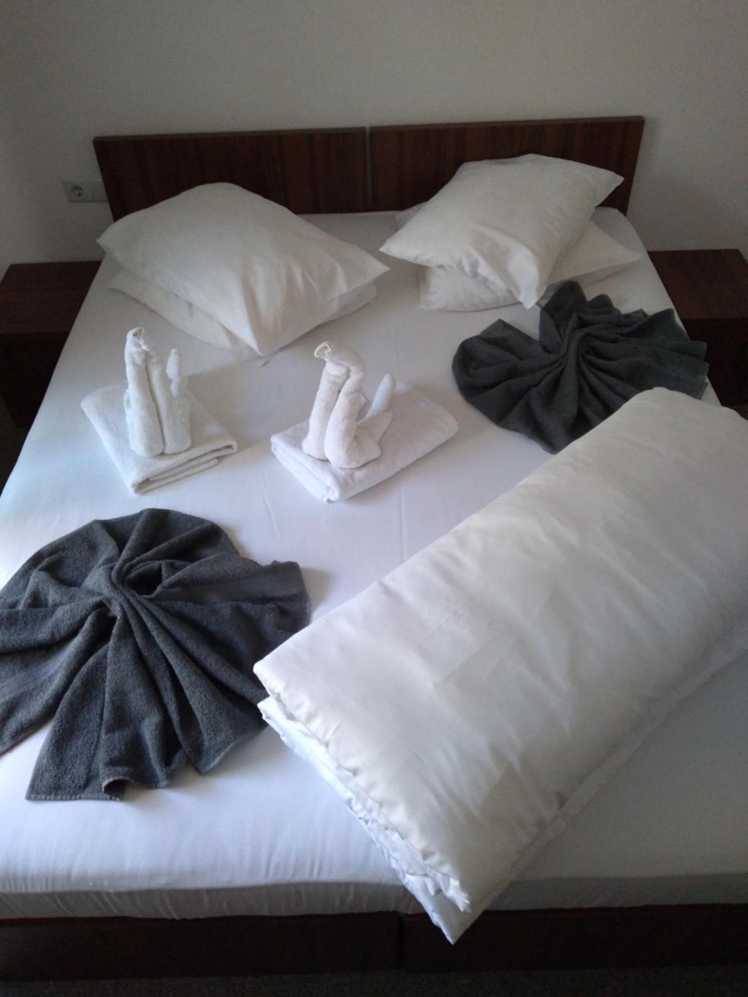 Pensiunea Floare De Colt Otel Băile Herculane Oda fotoğraf