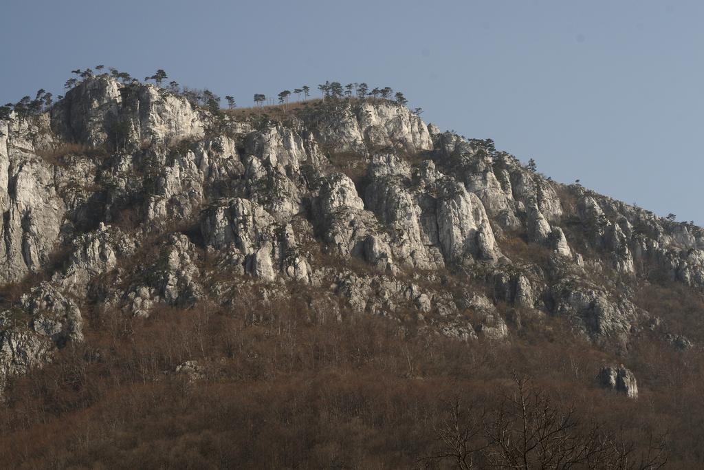Pensiunea Floare De Colt Otel Băile Herculane Dış mekan fotoğraf