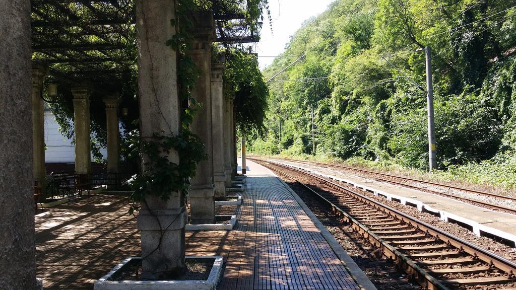 Pensiunea Floare De Colt Otel Băile Herculane Dış mekan fotoğraf