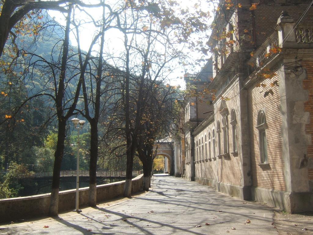 Pensiunea Floare De Colt Otel Băile Herculane Dış mekan fotoğraf