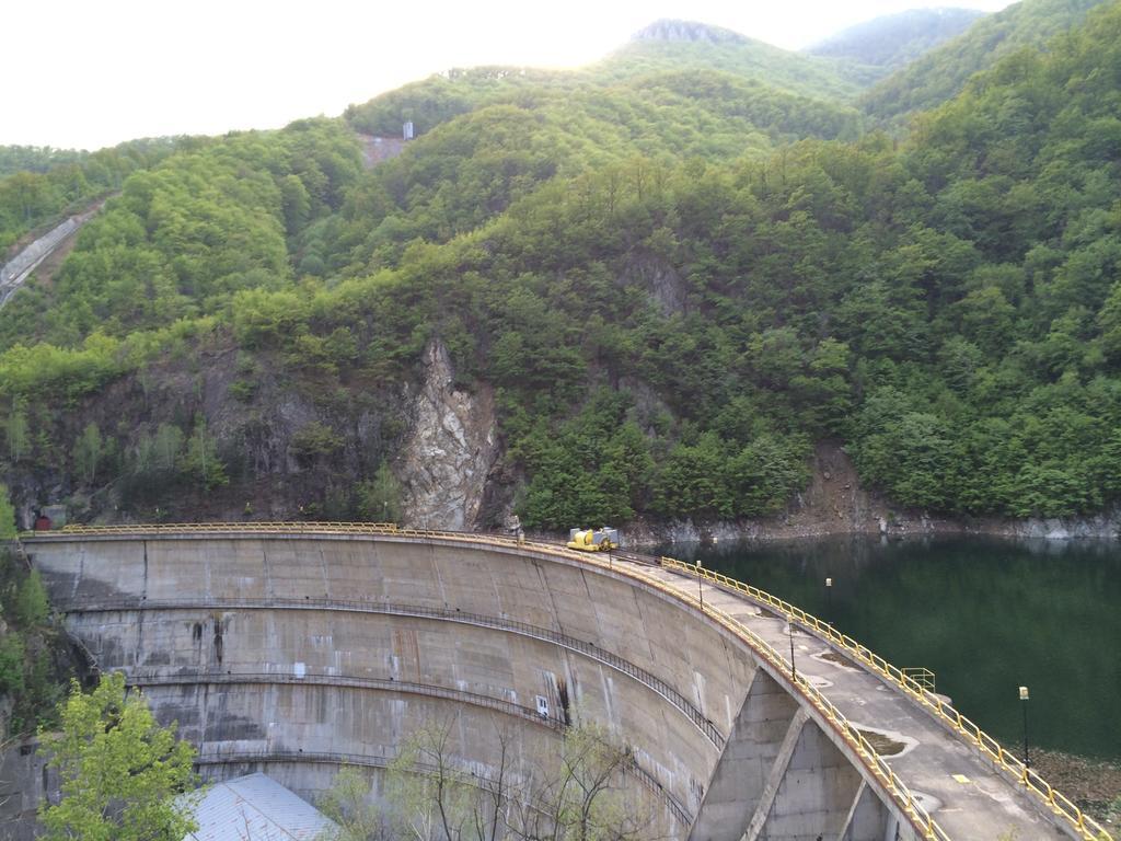 Pensiunea Floare De Colt Otel Băile Herculane Dış mekan fotoğraf