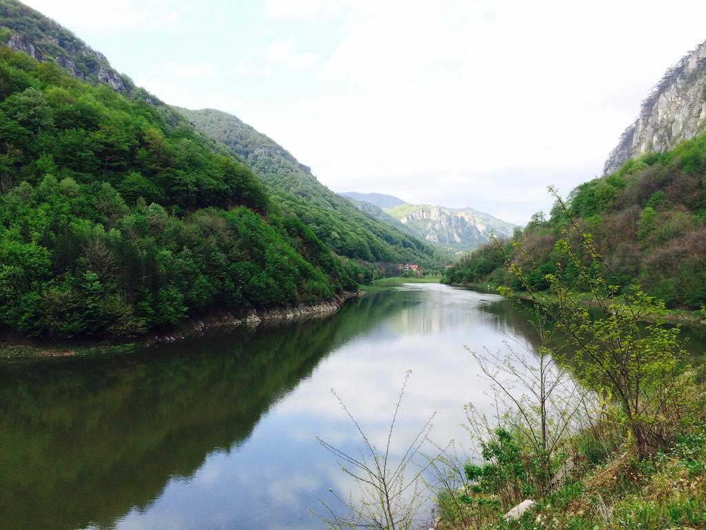 Pensiunea Floare De Colt Otel Băile Herculane Dış mekan fotoğraf