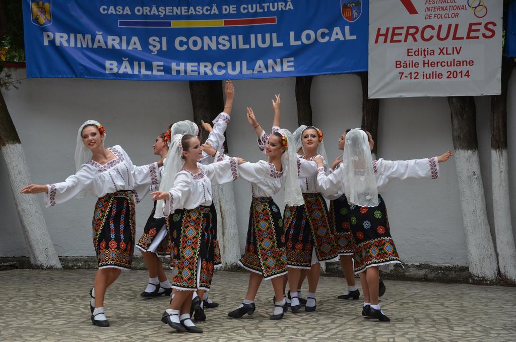 Pensiunea Floare De Colt Otel Băile Herculane Dış mekan fotoğraf